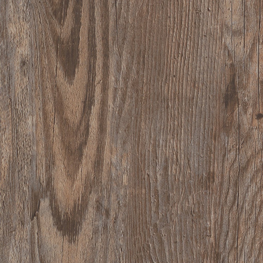 Shaw Floors PATHWAYS 6 - Firewood