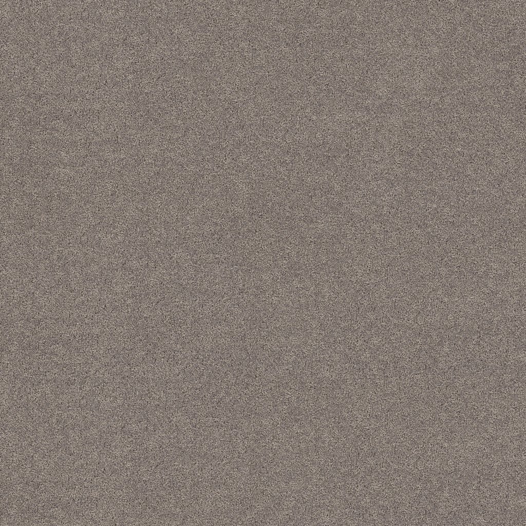 Shaw Floors Secret Adventure - Shadows