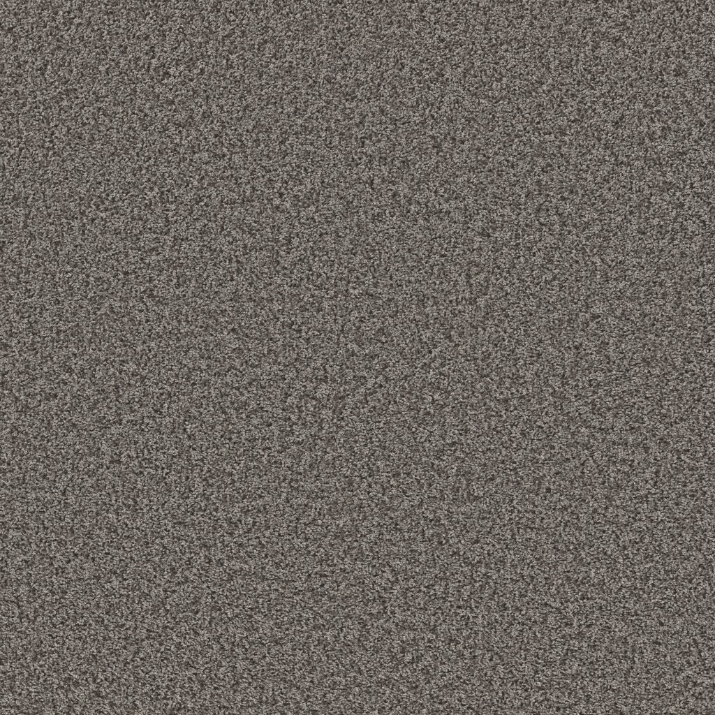 Shaw Floors Color Flair - Gray Flannel