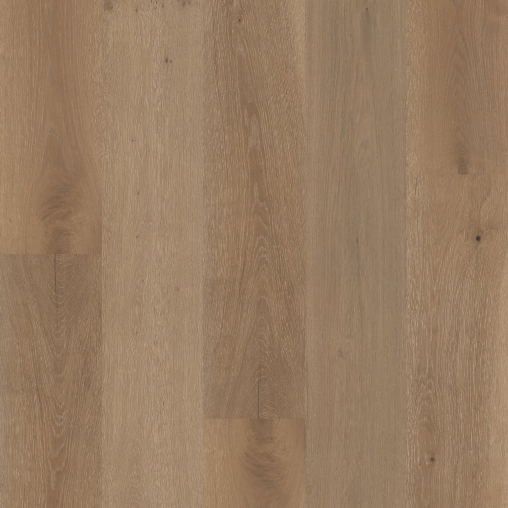 Shaw Floors Expressions 9.5" - Kinetic