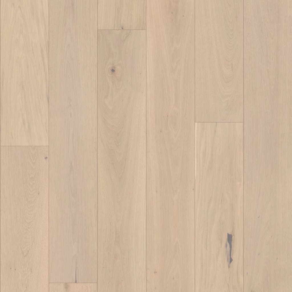 Shaw Floors Expressions - Cadence