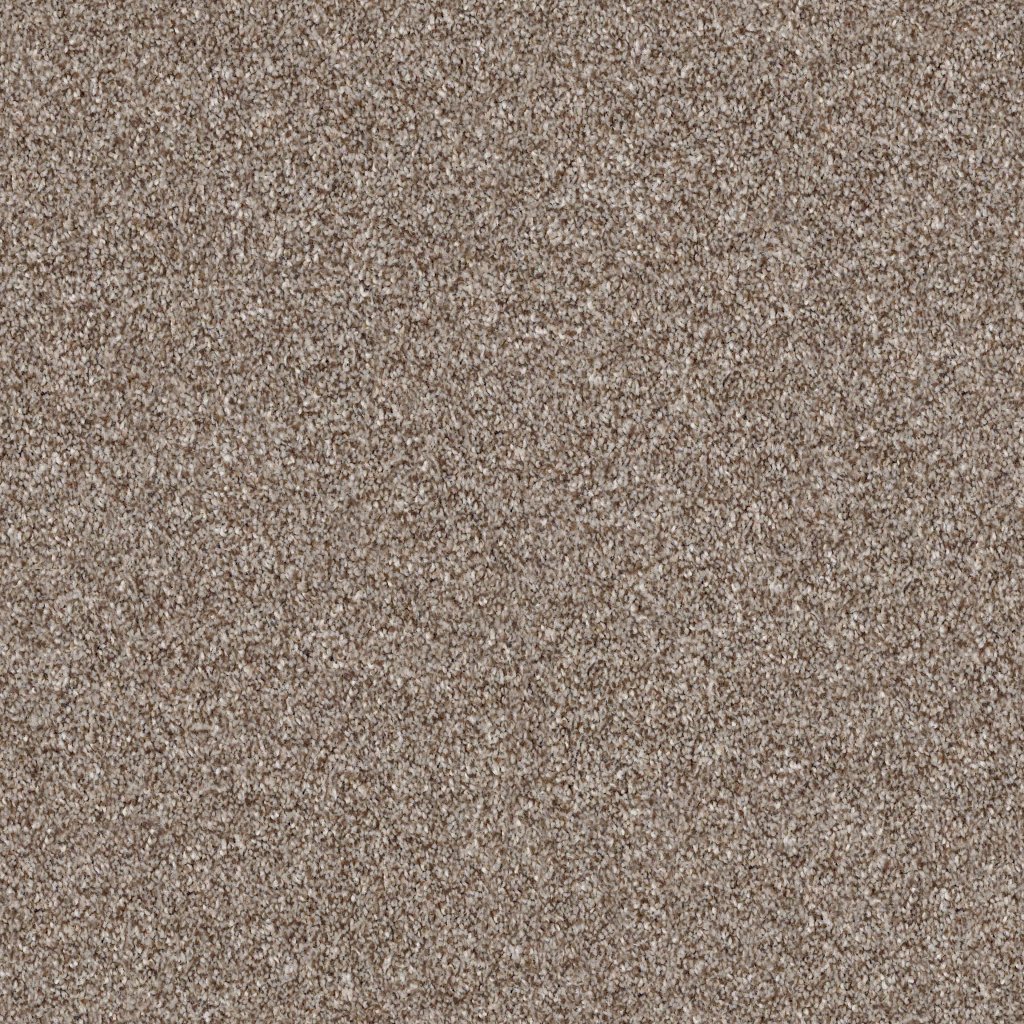 Shaw Floors Make It Mine I - Fox Hollow