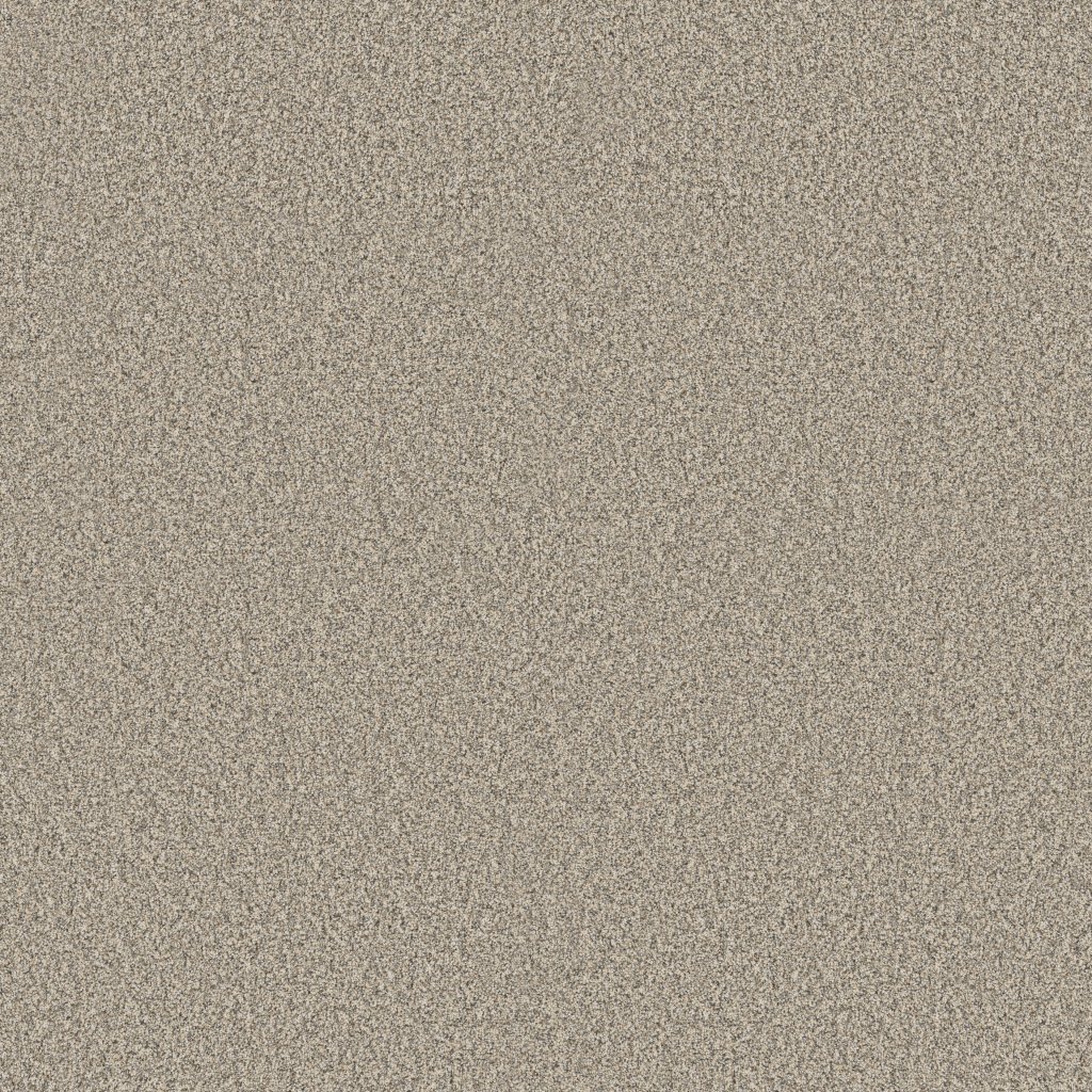 Shaw Floors Timeless Tone Blue - Safari