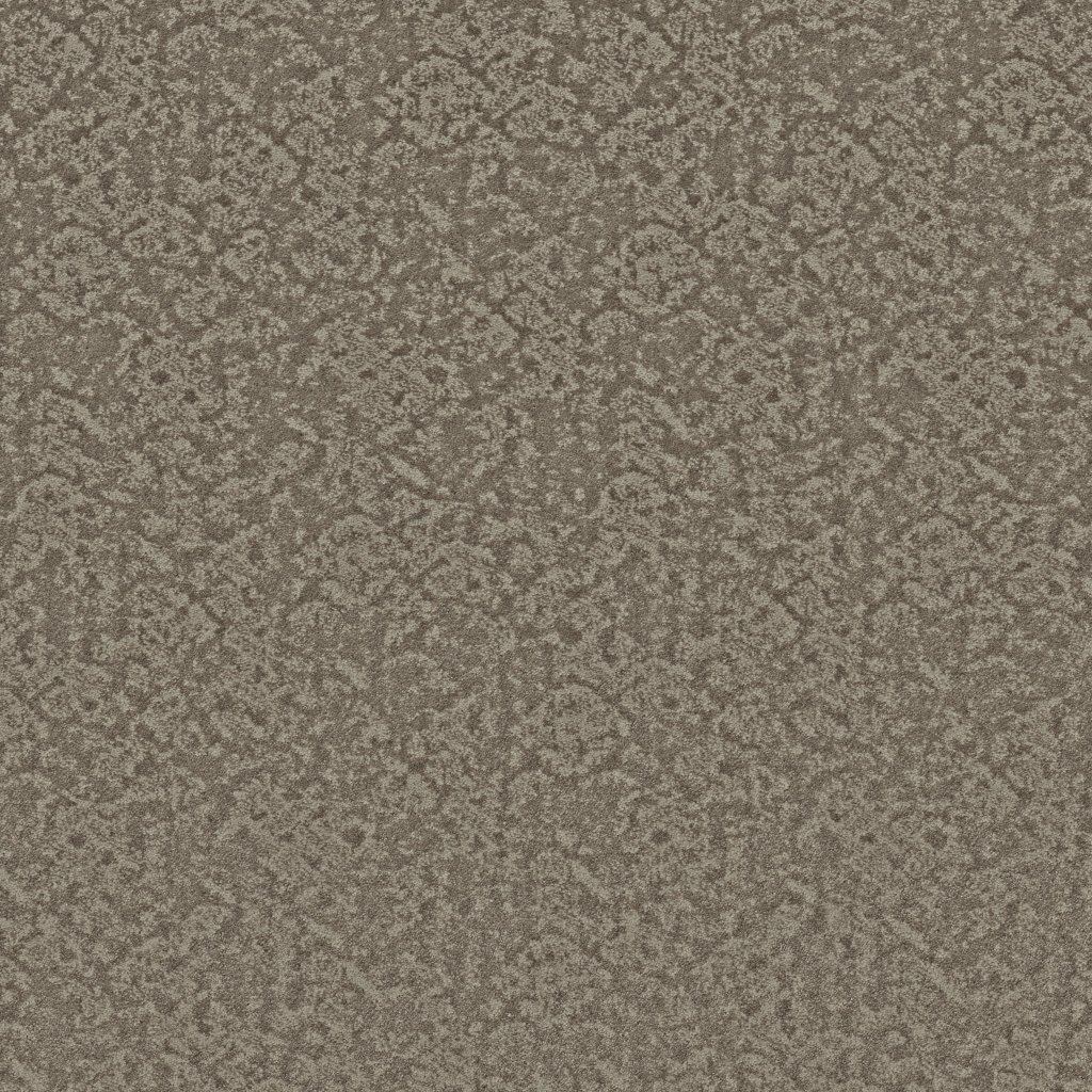 Shaw Floors Free Spirit - Ridgeview