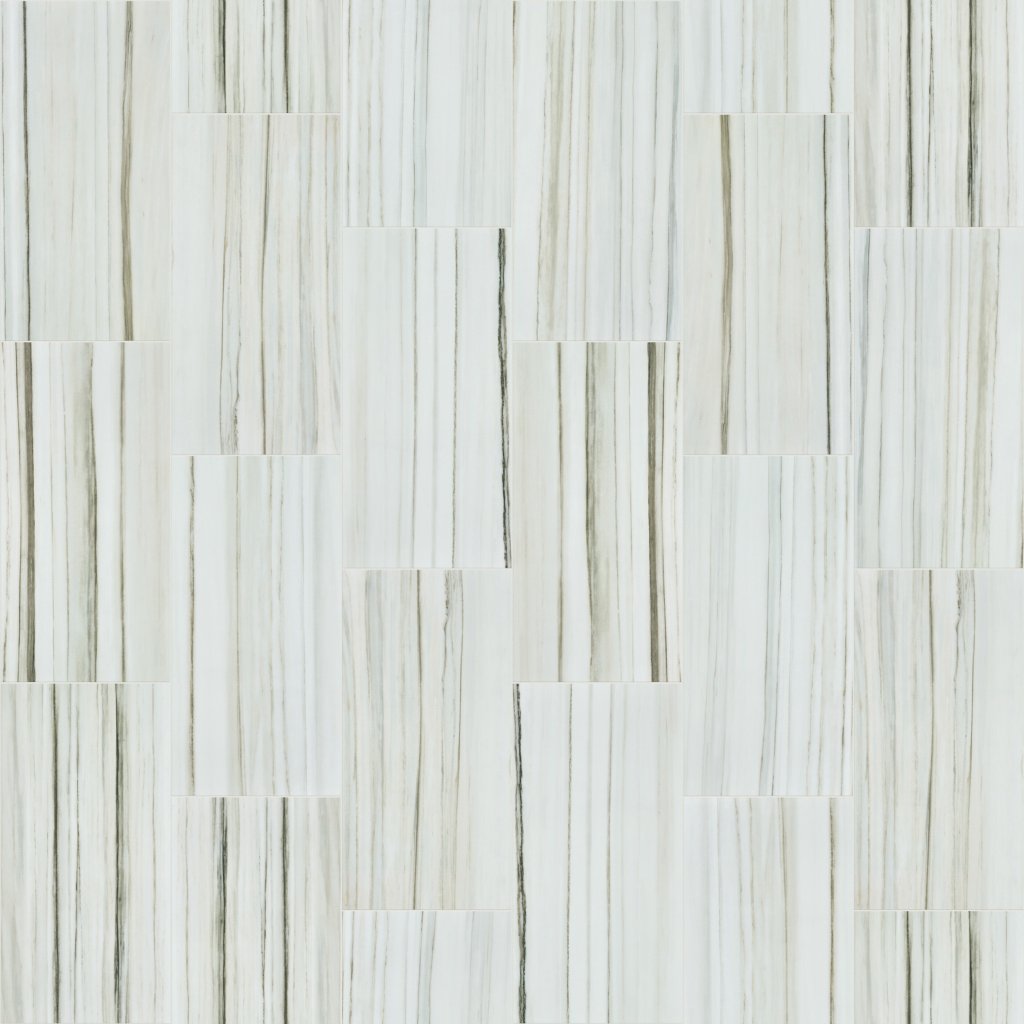 Shaw Floors VISION 12X24 POLISH - Zebrino