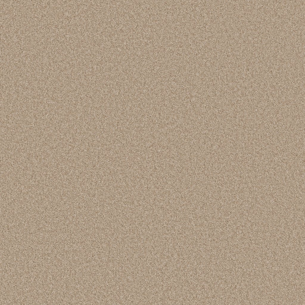 Shaw Floors Del Rio I - Hayloft