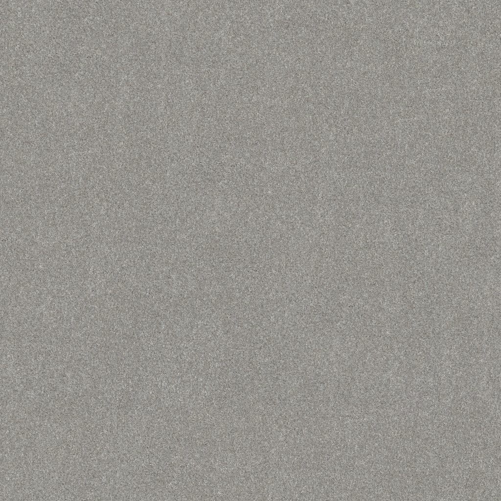 Shaw Floors Good Move III - Fog