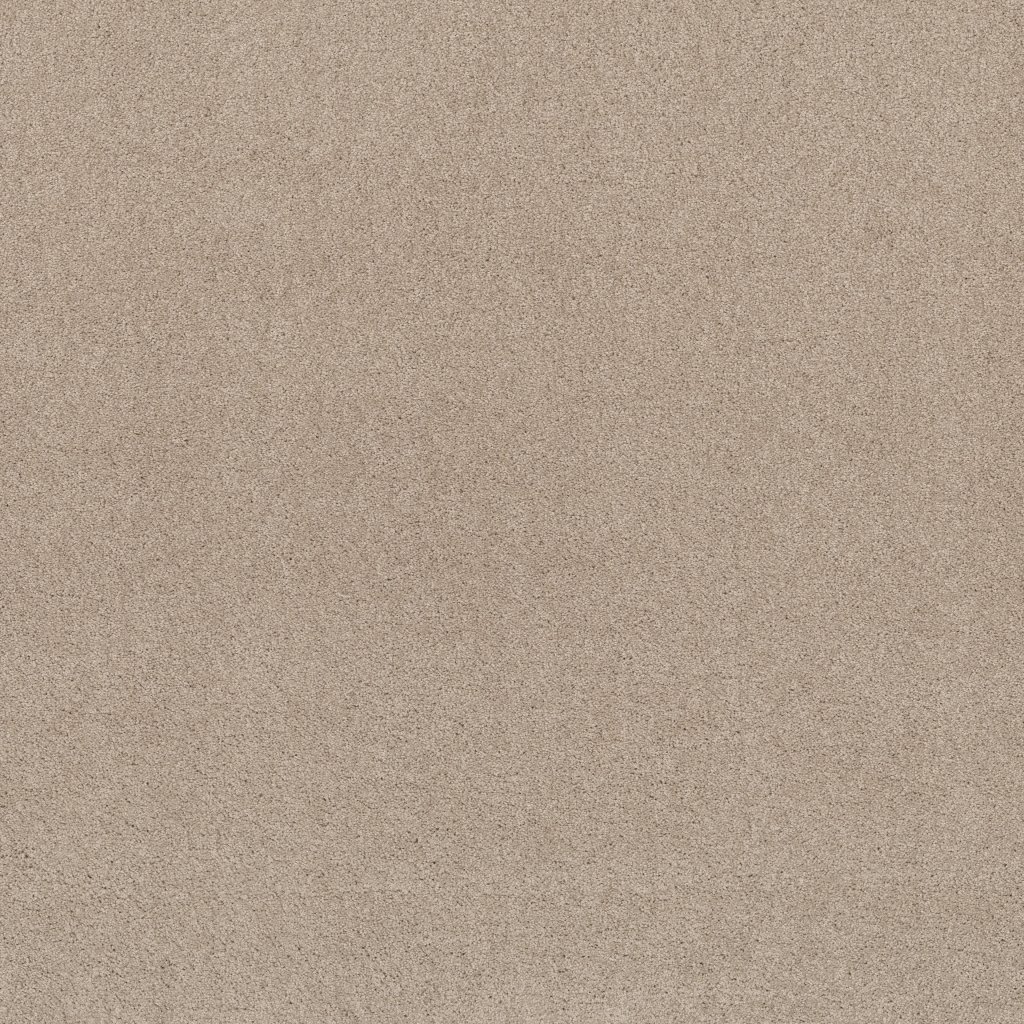 Shaw Floors Inspired By Ii - Bare Essence
