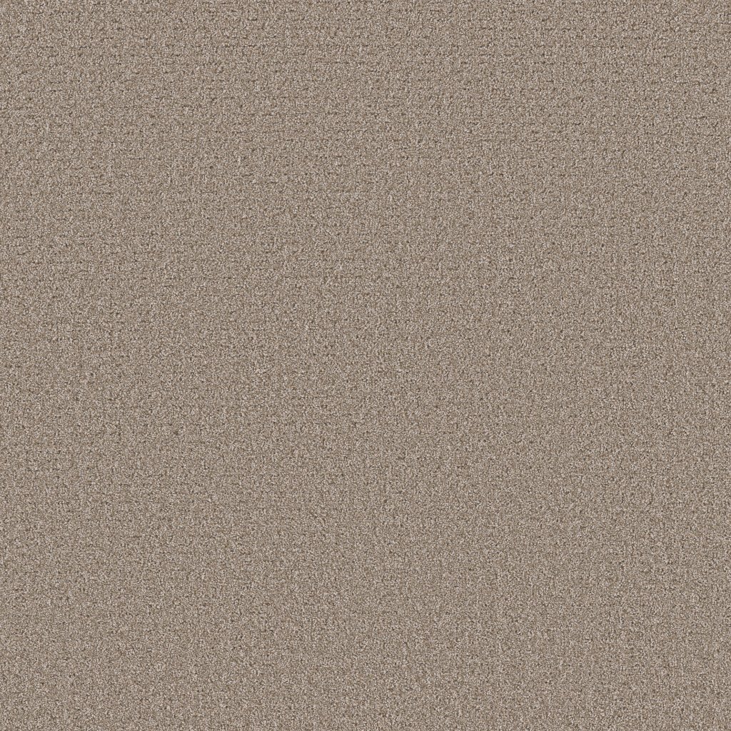 Shaw Floors Secret Journey - Mocha