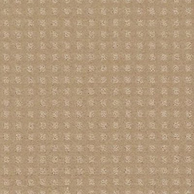 Shaw Floors The Fair - Natural Grain