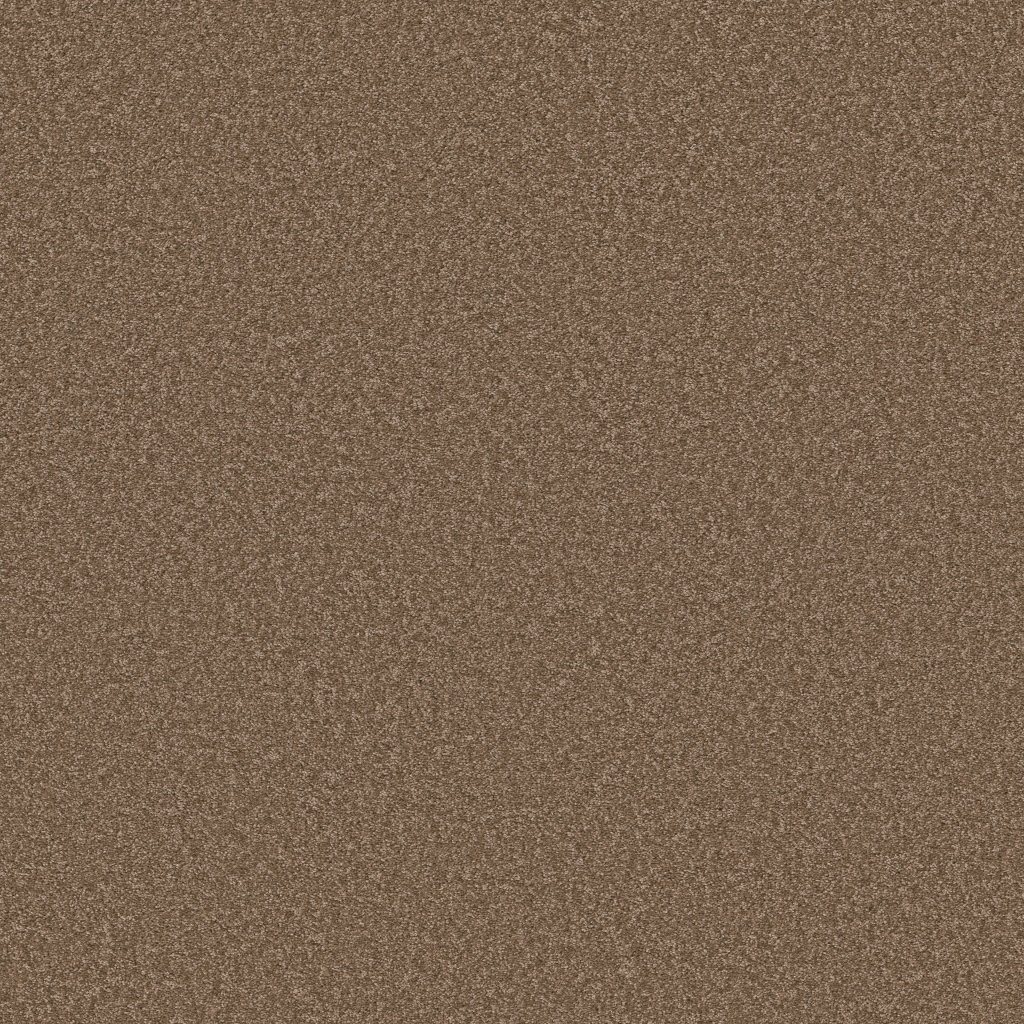 Shaw Floors Why Not Me - Brushed Suede
