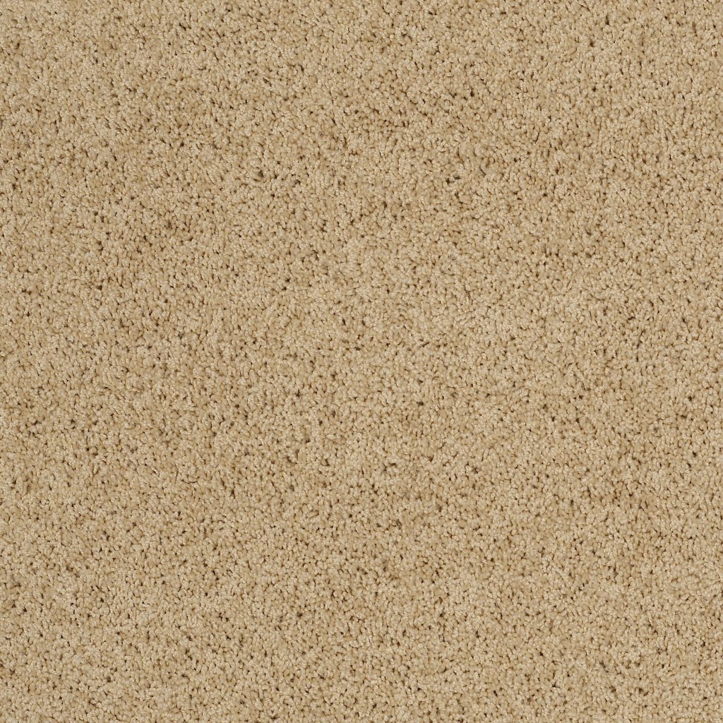 Shaw Floors Inspired By Ii - Mesa