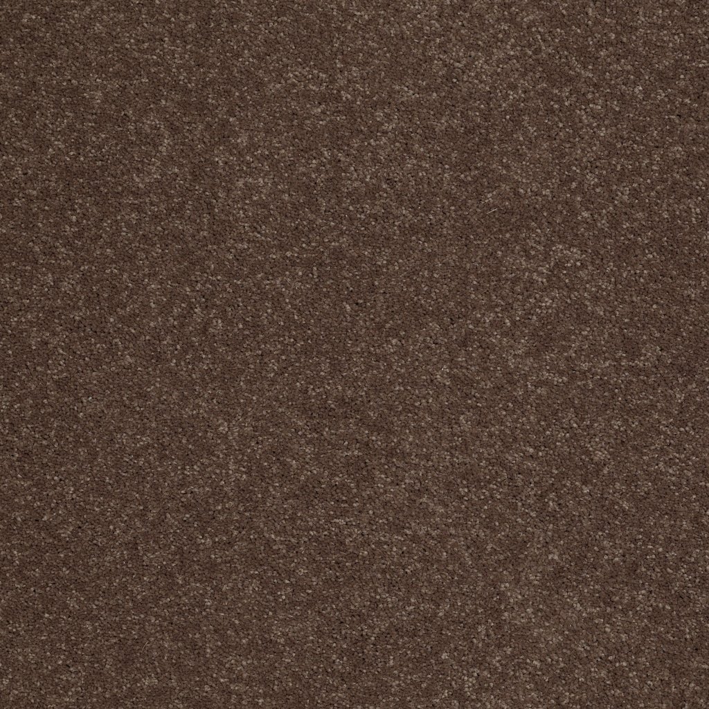 Shaw Floors Shingle Creek Ii 12' - Wooden Box