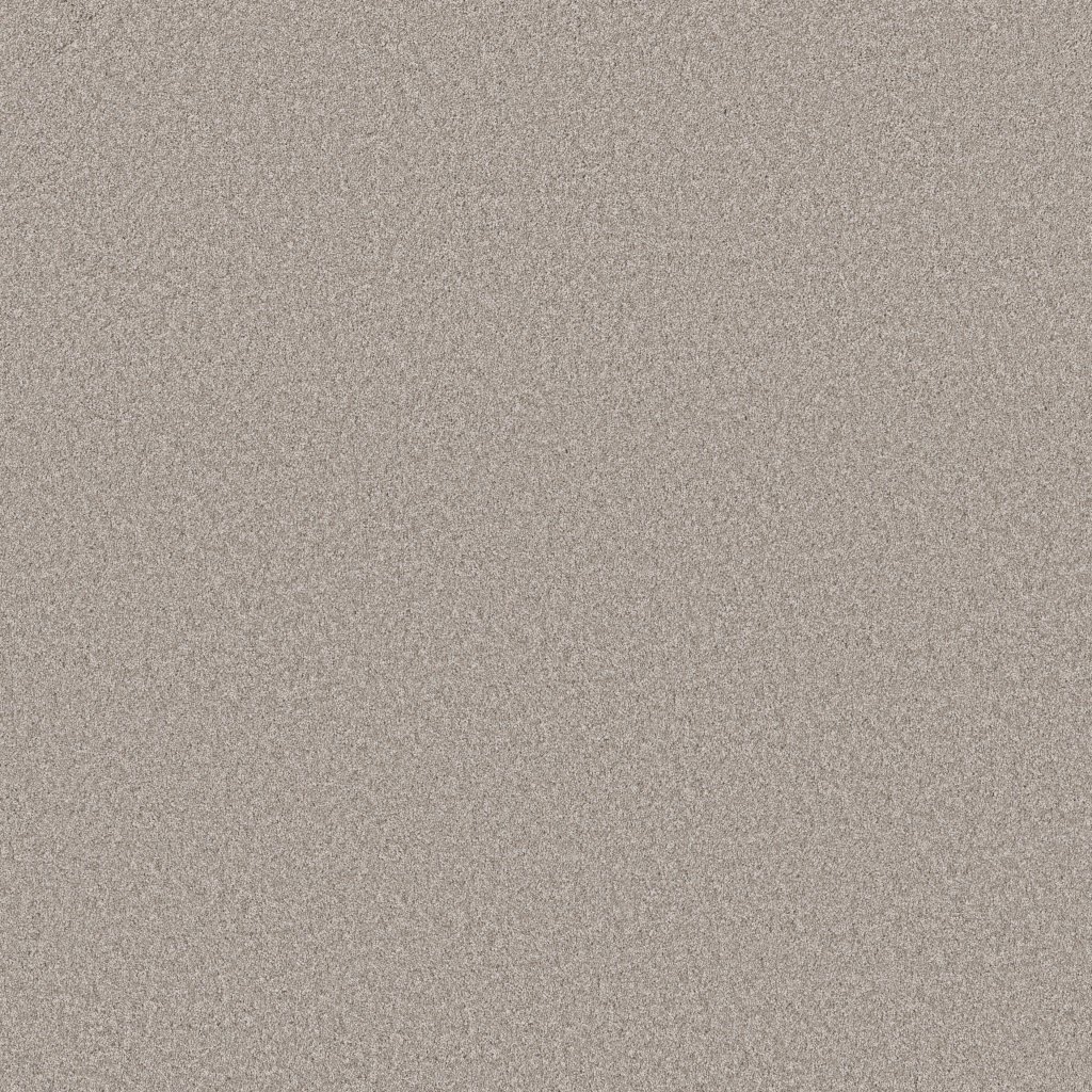 Shaw Floors Imaginable I - Great Greige