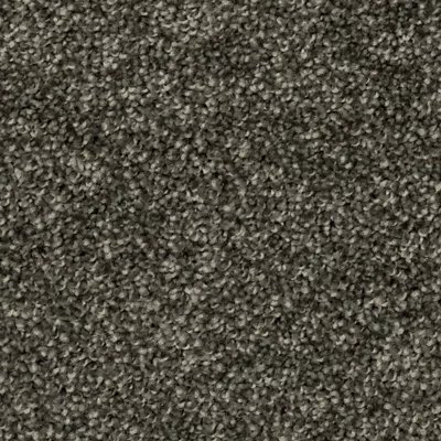 Mohawk Tonal Luxury II - Statuesque
