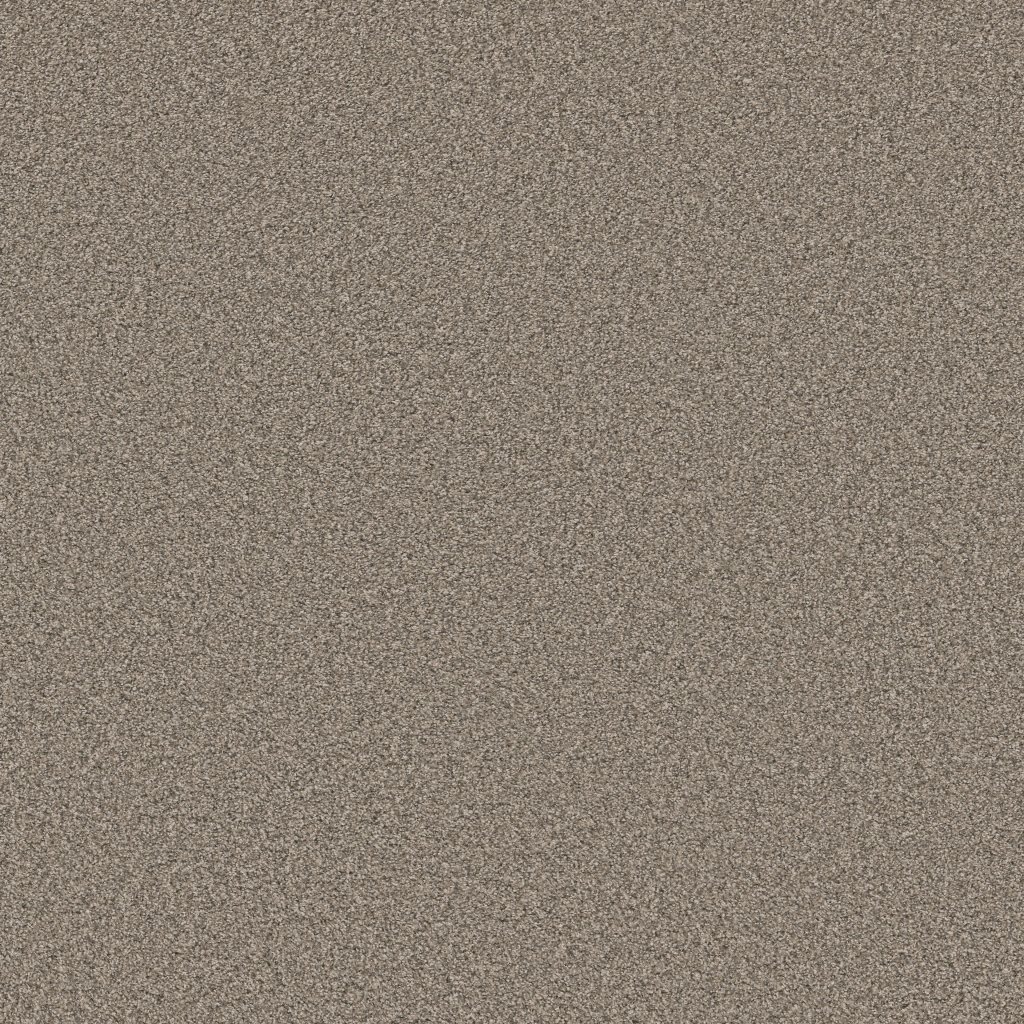 Shaw Floors Tweed Comfort II - Stroke Of Luck