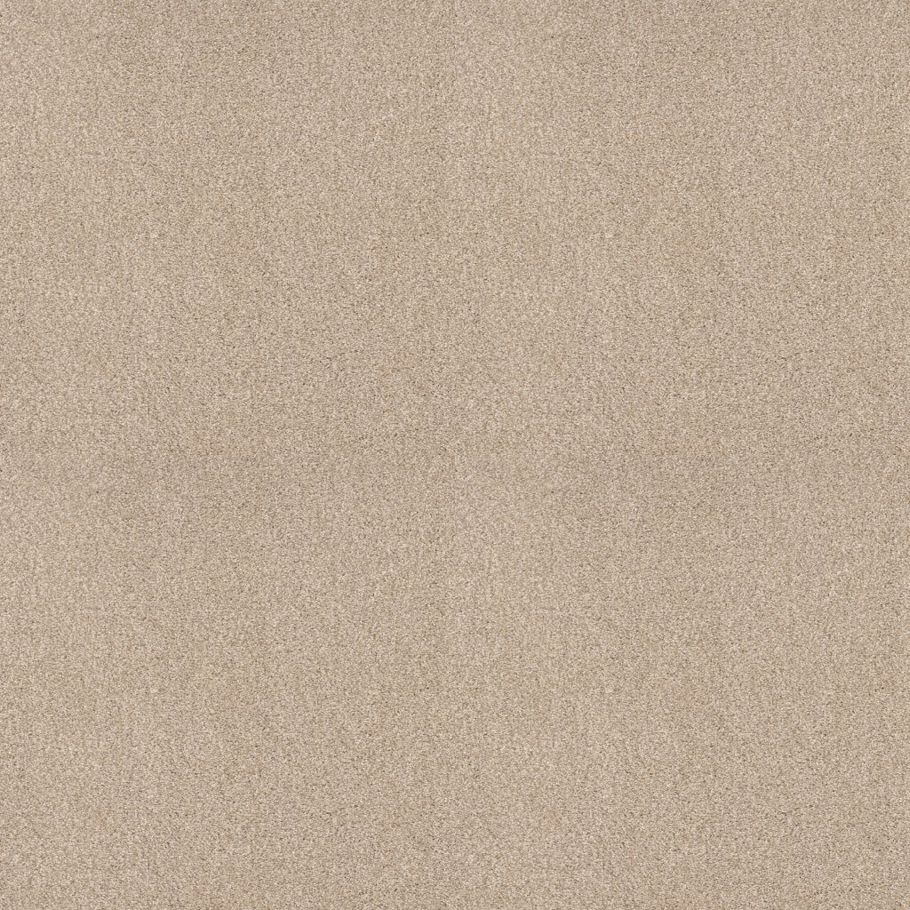 Shaw Floors Tonal Comfort I - Happy Place