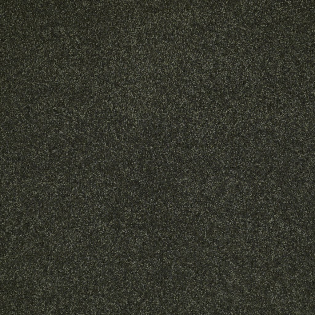 Shaw Floors Shingle Creek IV 12' - Lilly Pad