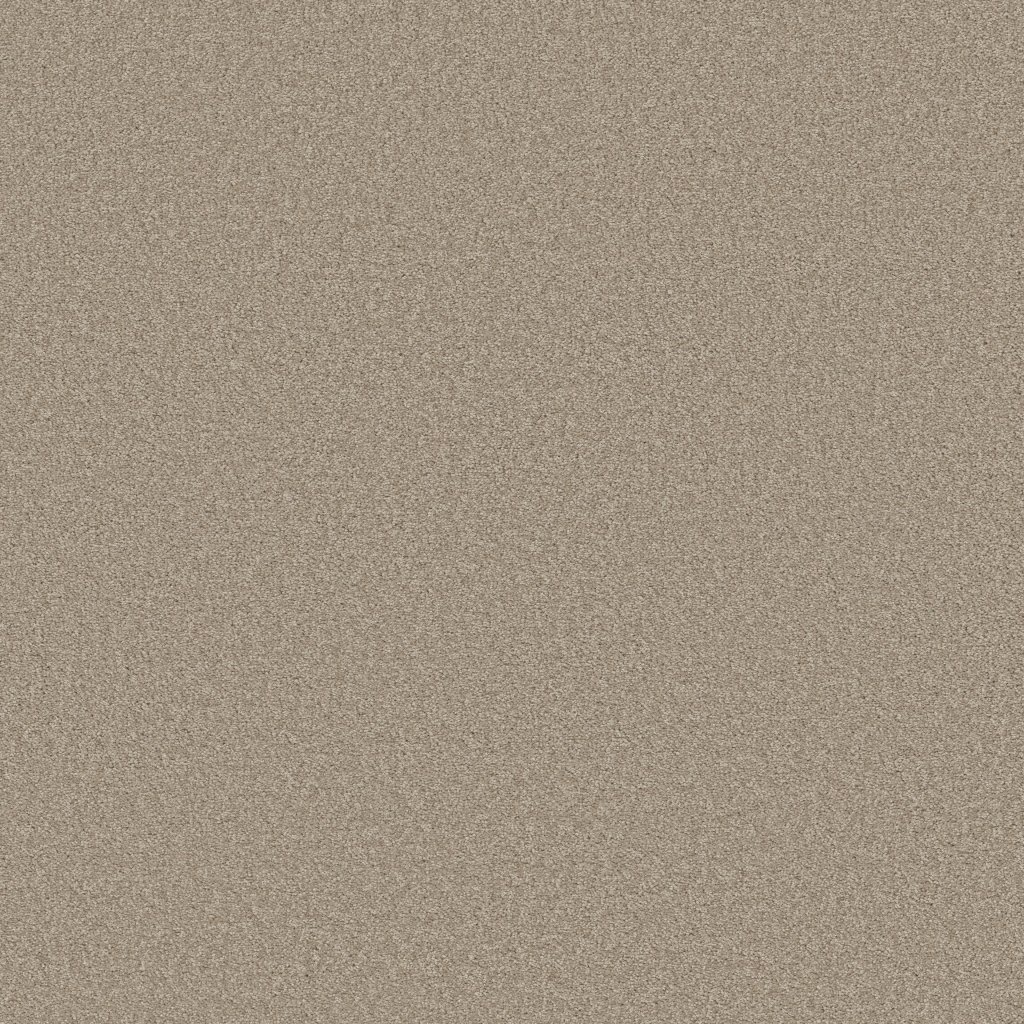 Shaw Floors Why Not Me - Smooth Taupe