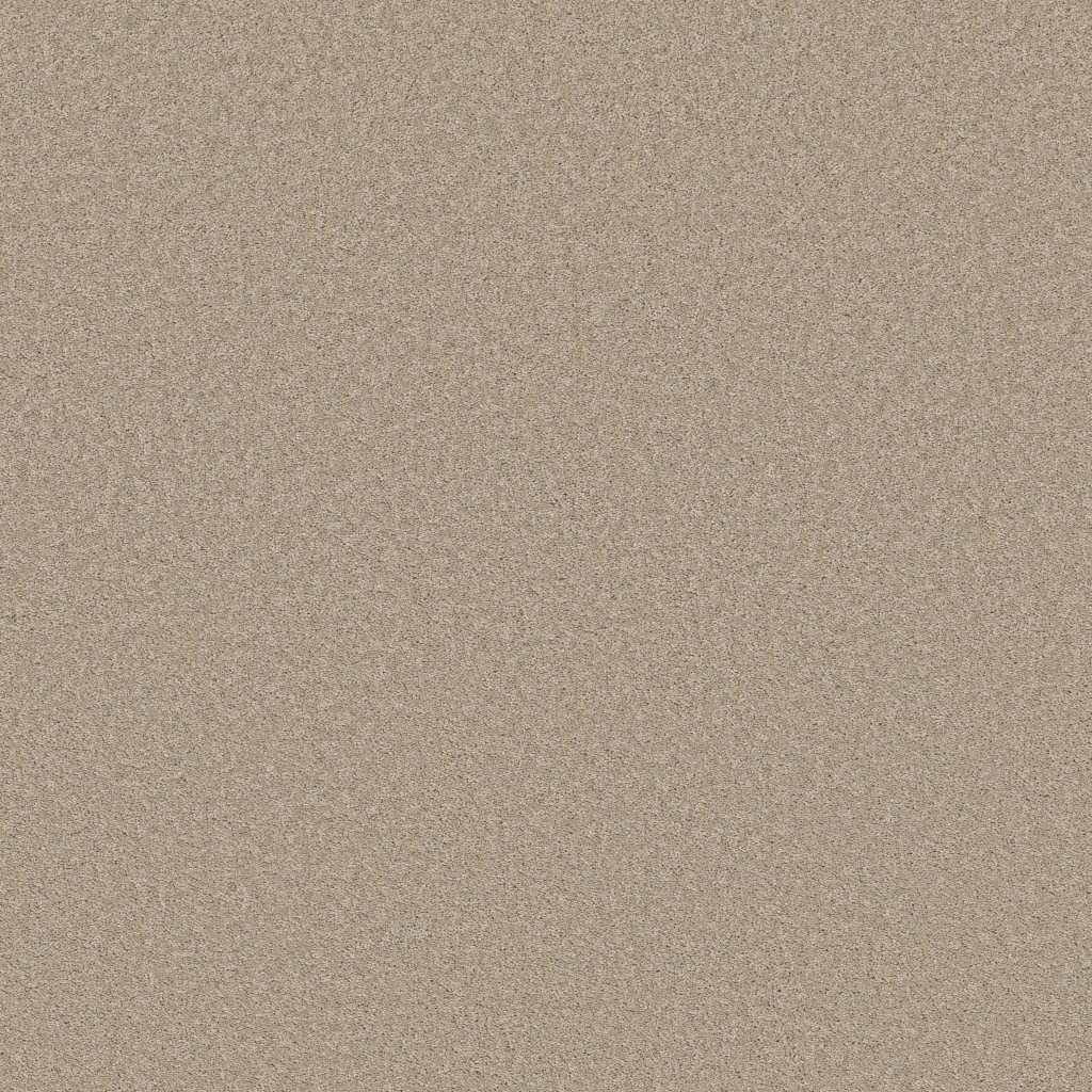 Shaw Floors Velvet Touch II - Chic Greige
