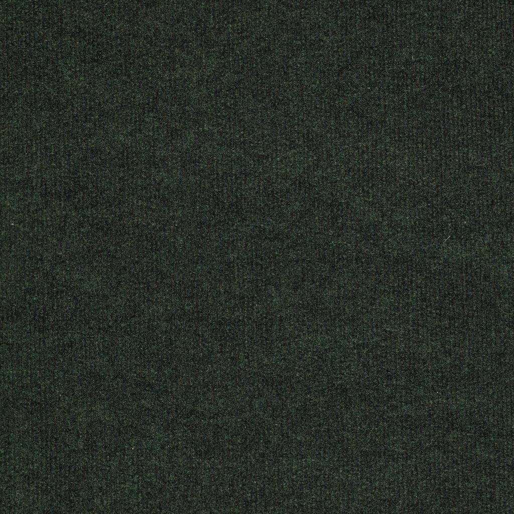 Philadelphia Commercial BACKDROP I 6 - Forest Night