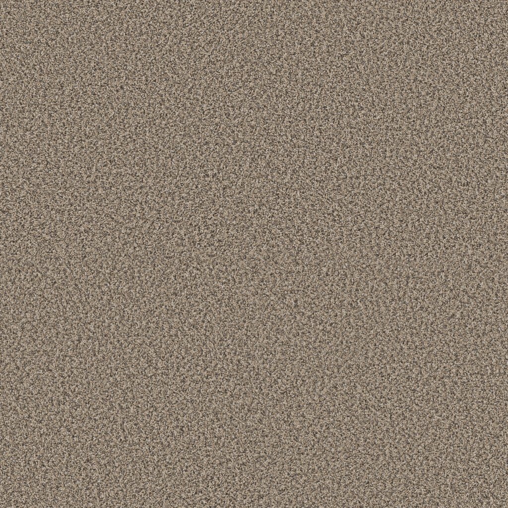 Shaw Floors Renewed Energy II - Khaki