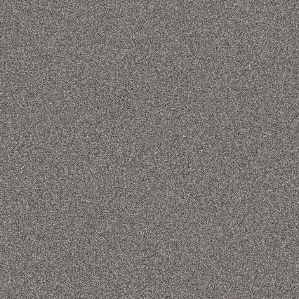 Shaw Floors Blended Touch II - Gray Granite