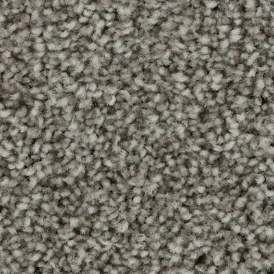 Mohawk Polished Shades II - Shadow Taupe