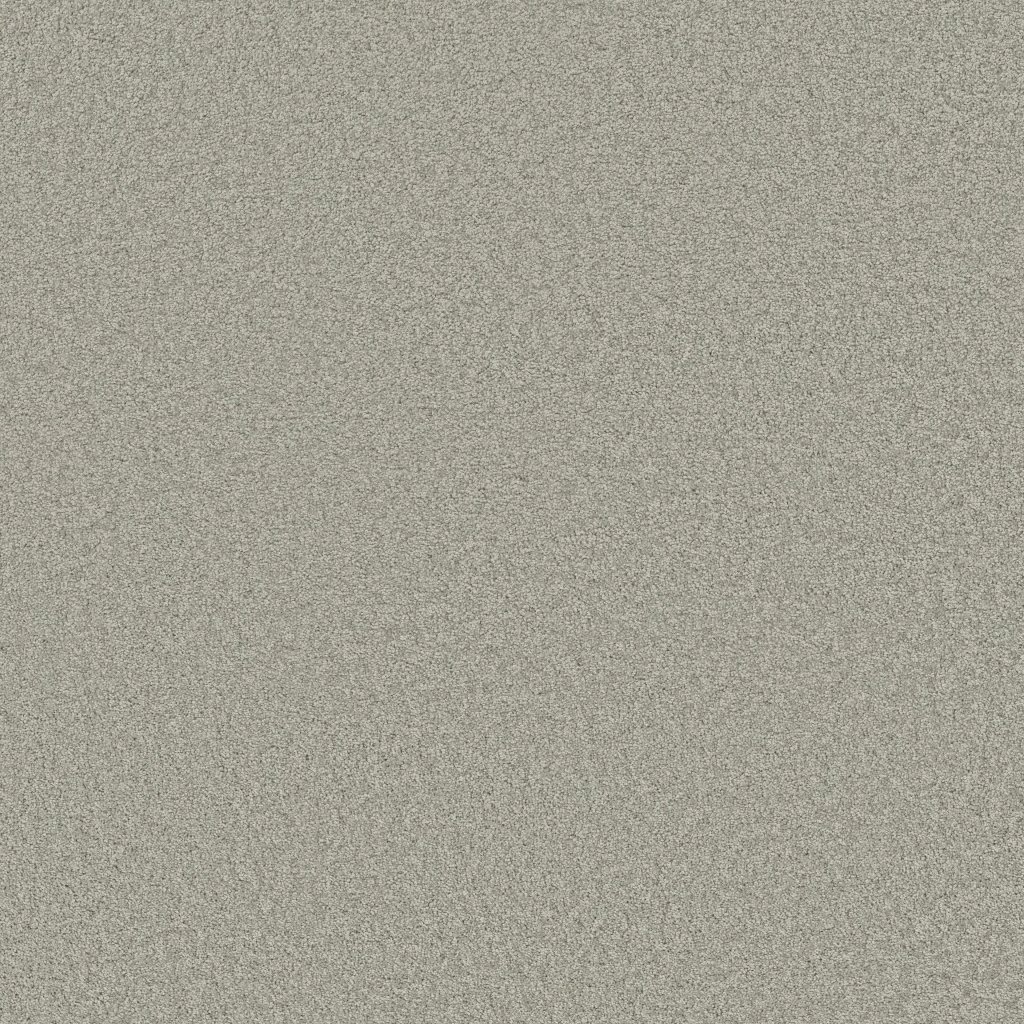 Shaw Floors Around The House III - Sheer Silver