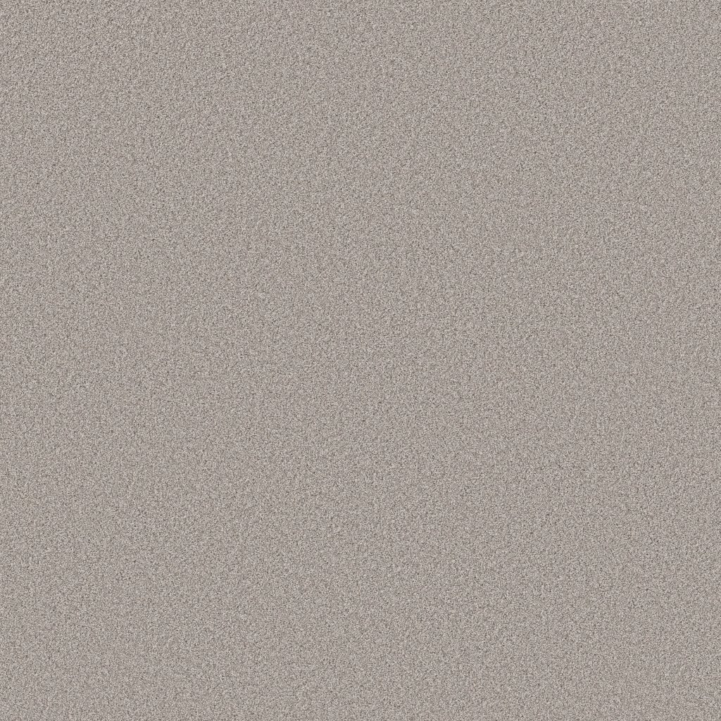 Shaw Floors Pure Affection Tonal - Four Winds