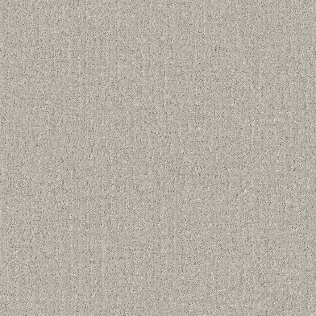 Shaw Floors Studio Plaza - Forest Fog