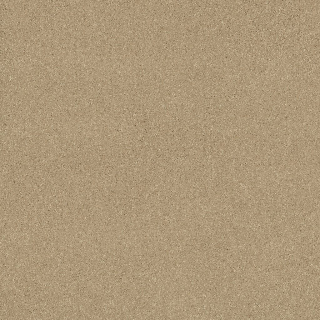 Shaw Floors Newbern Classic 15' - Casual Cream