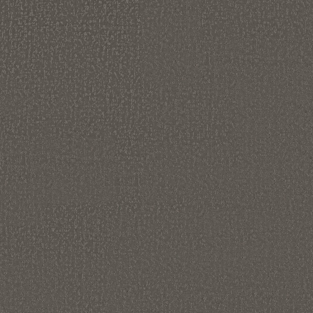 Shaw Floors Crafted Tone - Night Owl