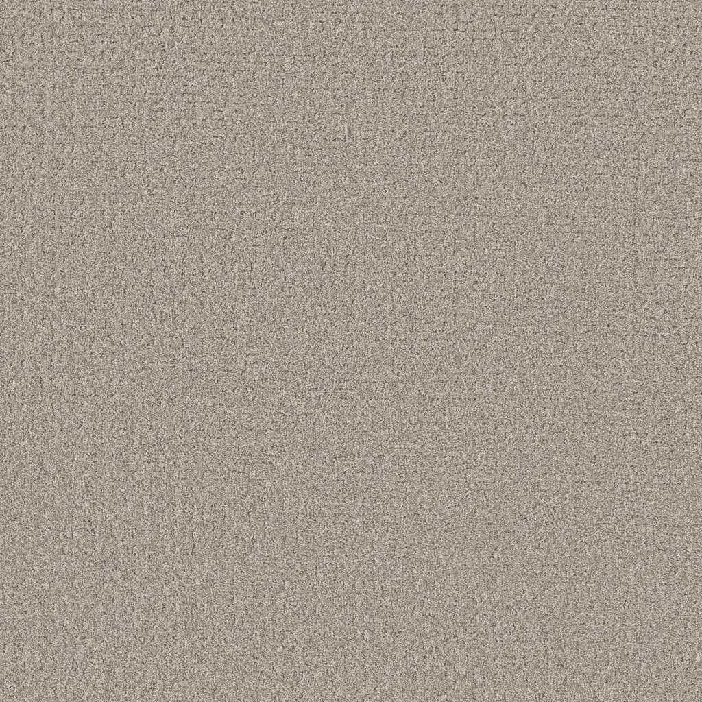 Shaw Floors Secret Journey - Marble