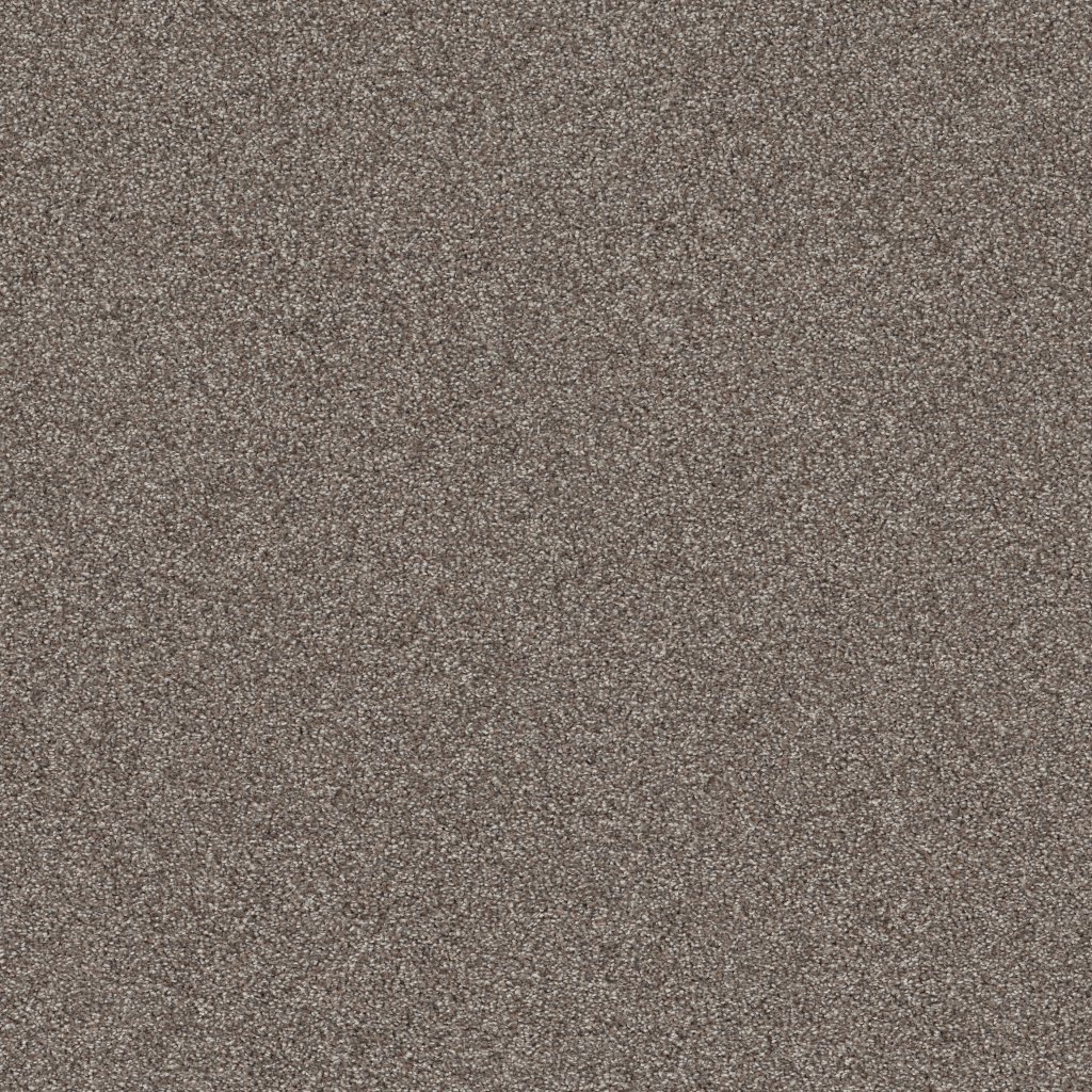 Shaw Floors Affirmation I - Creek Bend
