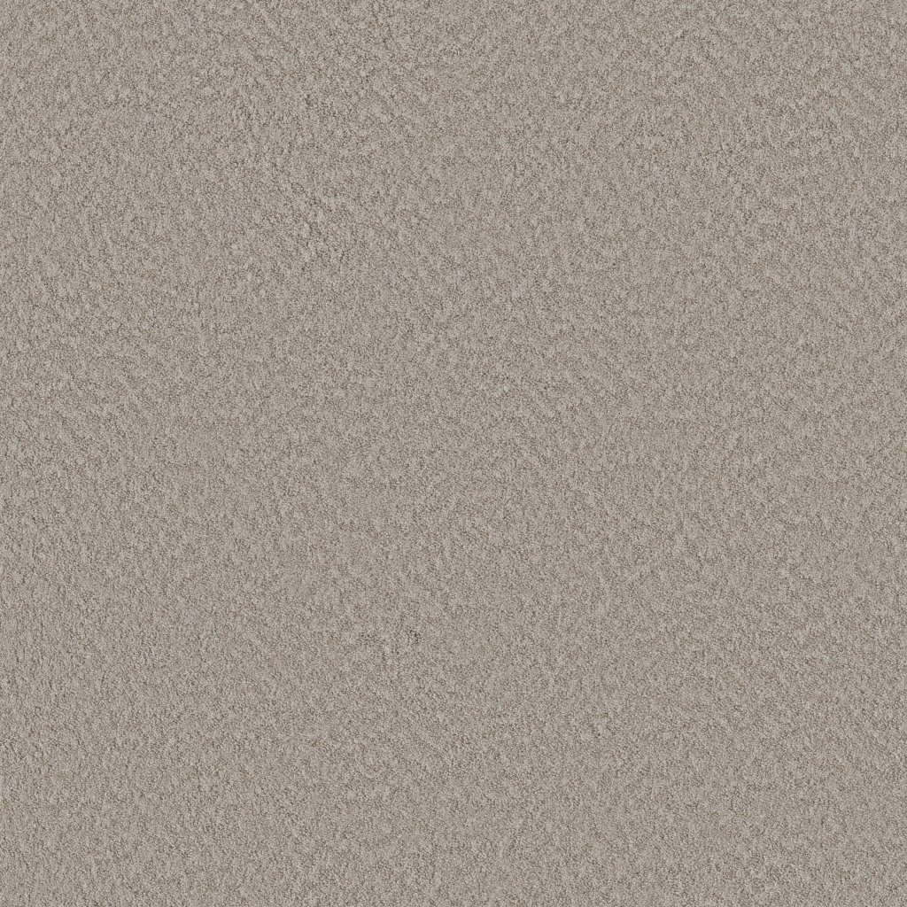 Shaw Floors Alluring Canvas - Fossil Path