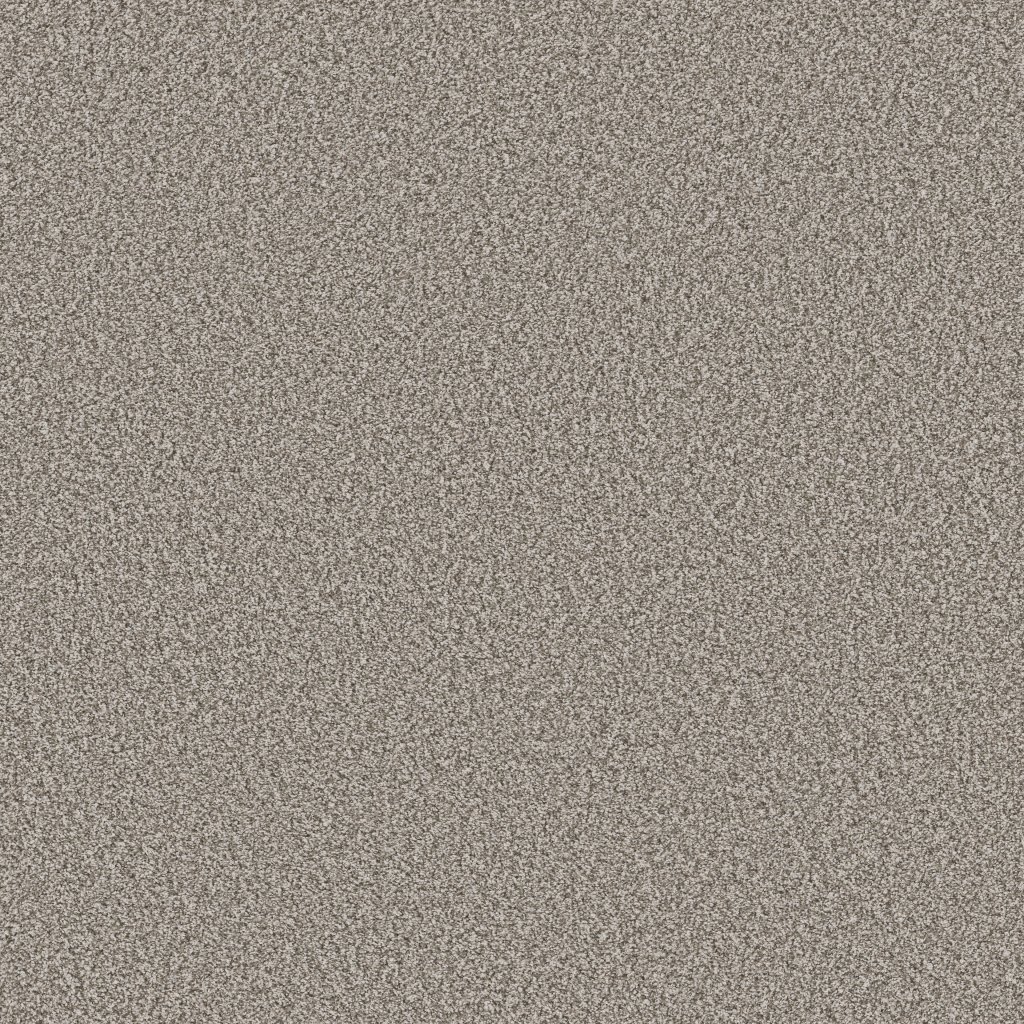 Shaw Floors Tweed Comfort II - Stand Out