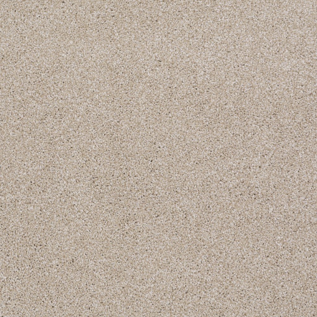 Shaw Floors Always Ready II - Balanced Beige