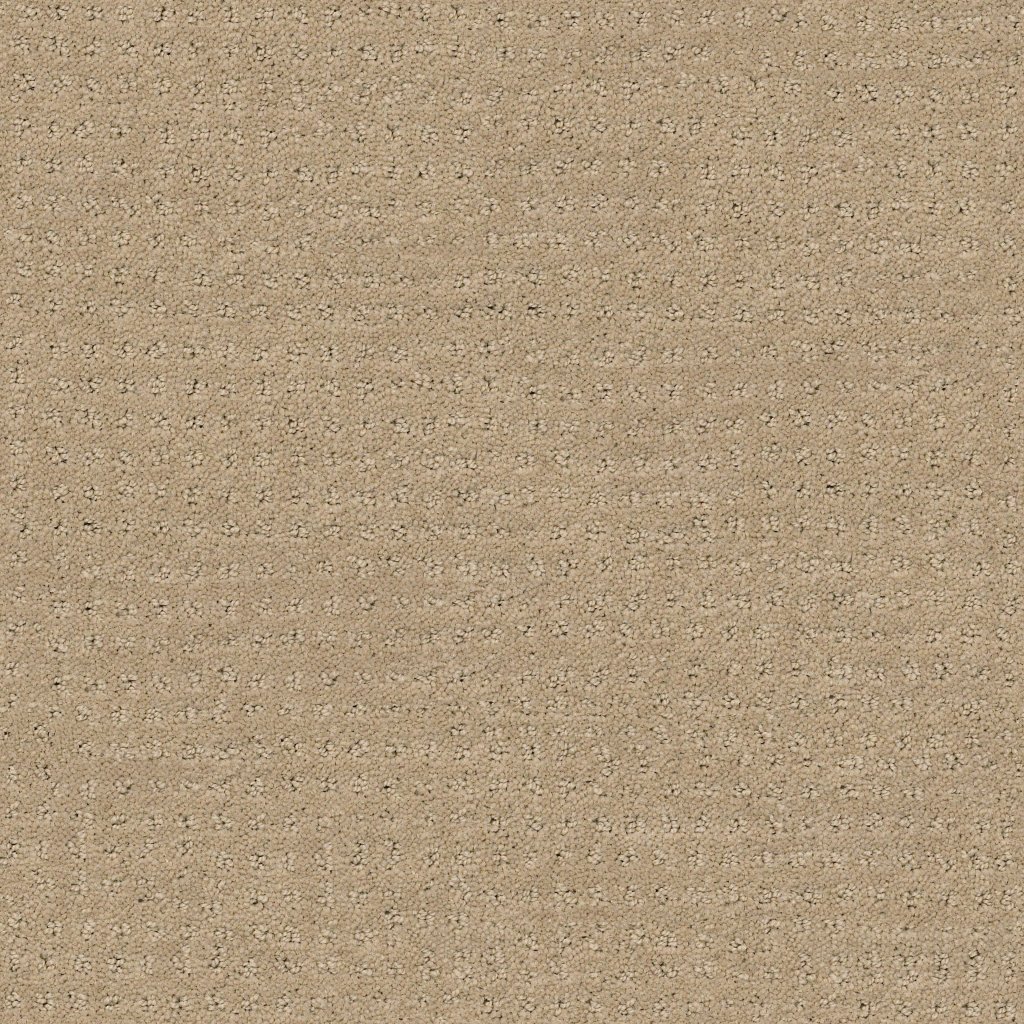 Shaw Floors Alluring Disposition - Espresso