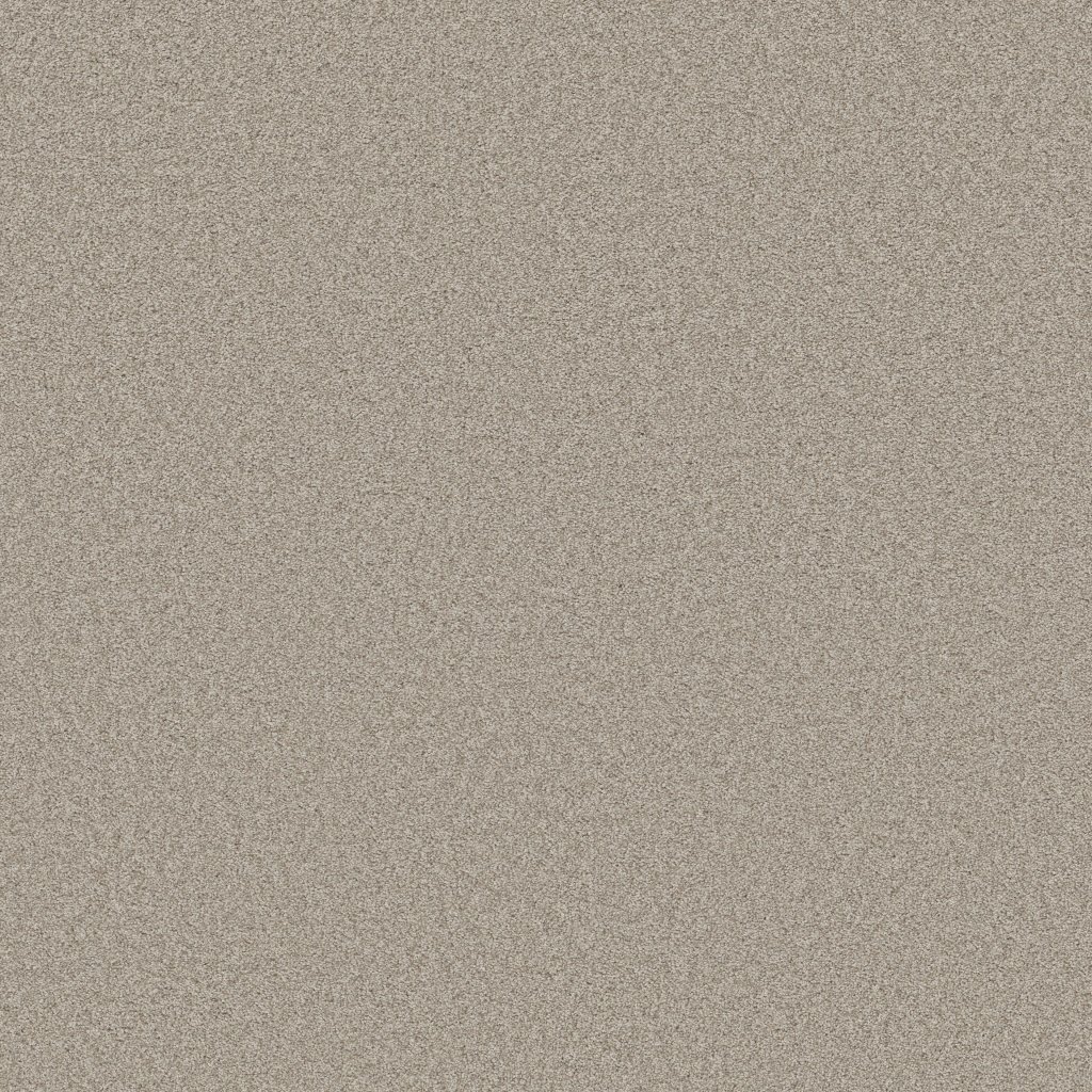 Shaw Floors Del Rio I - Baltic Stone