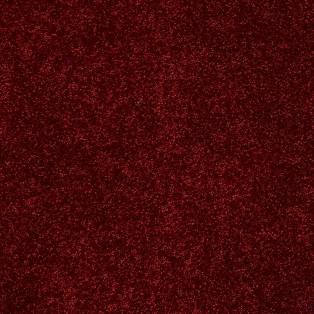 Shaw Floors Drexel Hill III 12' - Red Wine