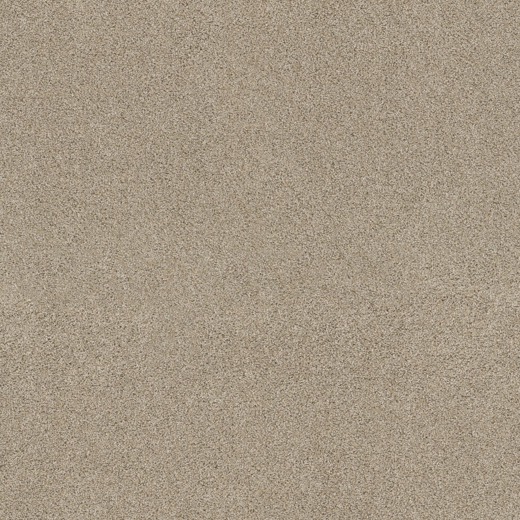 Shaw Floors Ocean View - Dhurrie