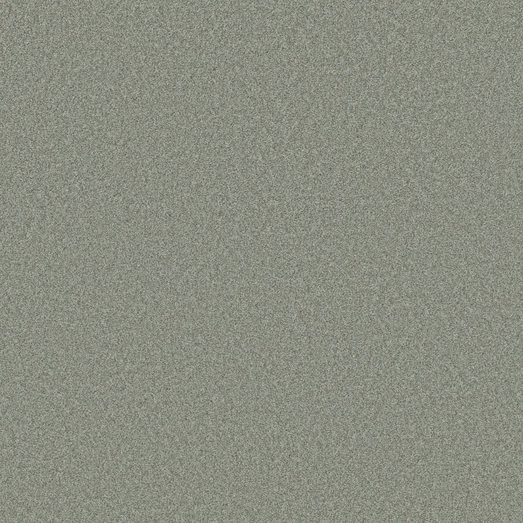 Shaw Floors Del Rio I - Water's Edge