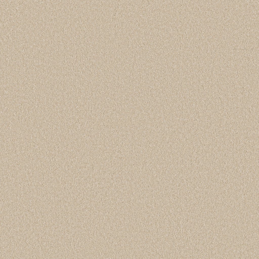 Shaw Floors Classic Tone - Safari