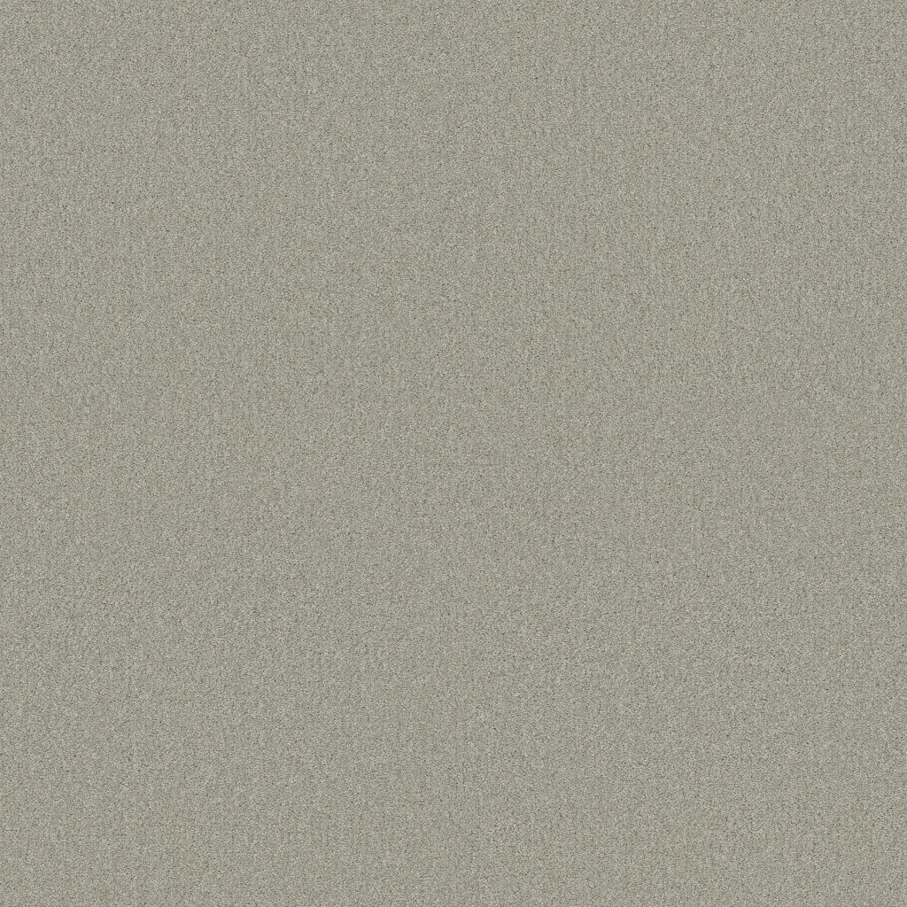 Shaw Floors Your Comfort II - Willow Tree