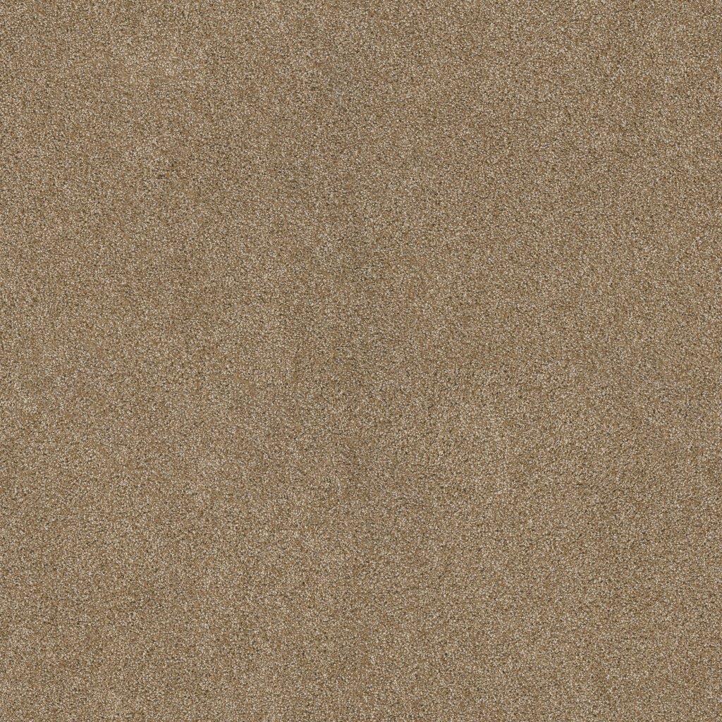 Shaw Floors Ocean View - Caramelo