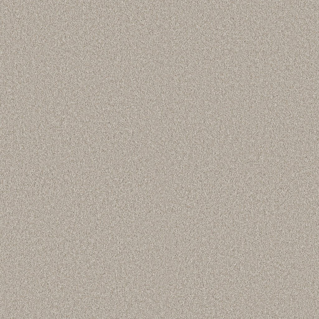 Shaw Floors Classic Tone - Pebble Path