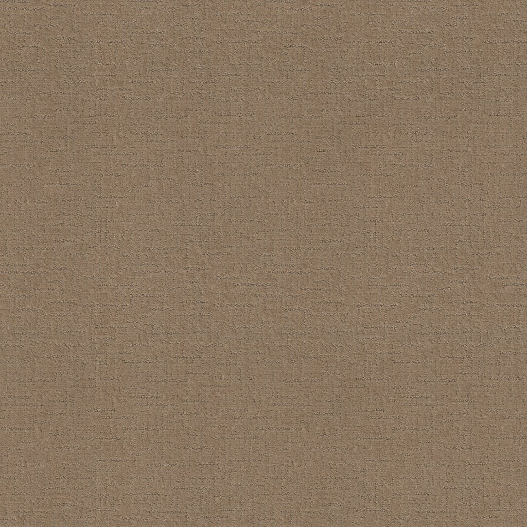Shaw Floors One More Hour - Desert Sand