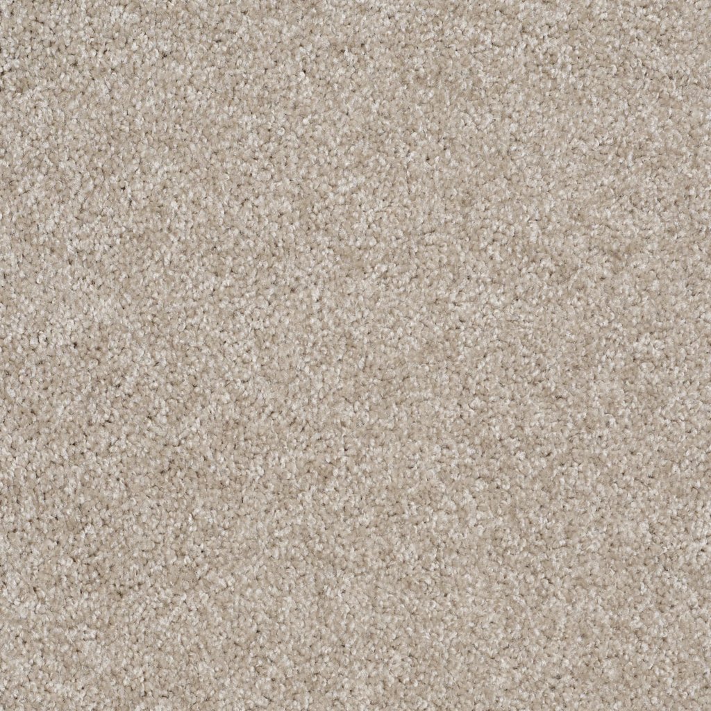 Shaw Floors Make It Yours (S) - Abalone