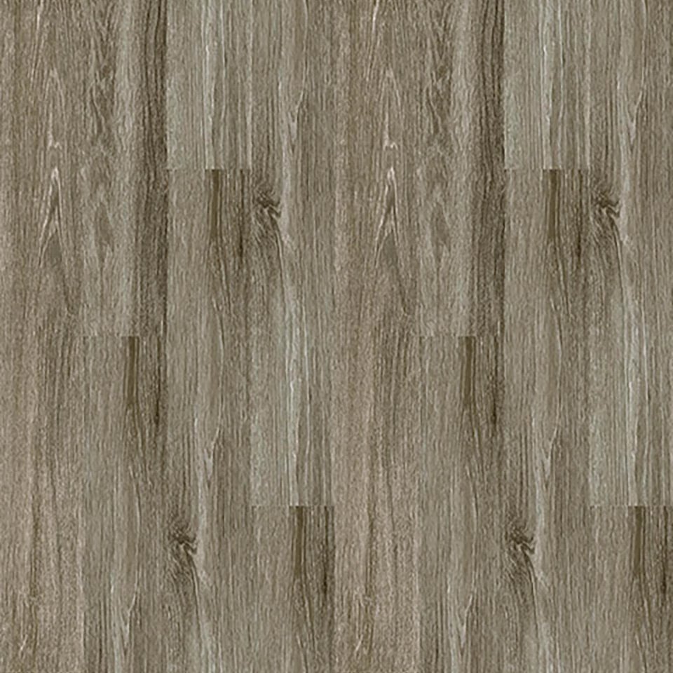Philadelphia Commercial Symbiotic 12 - Carbon
